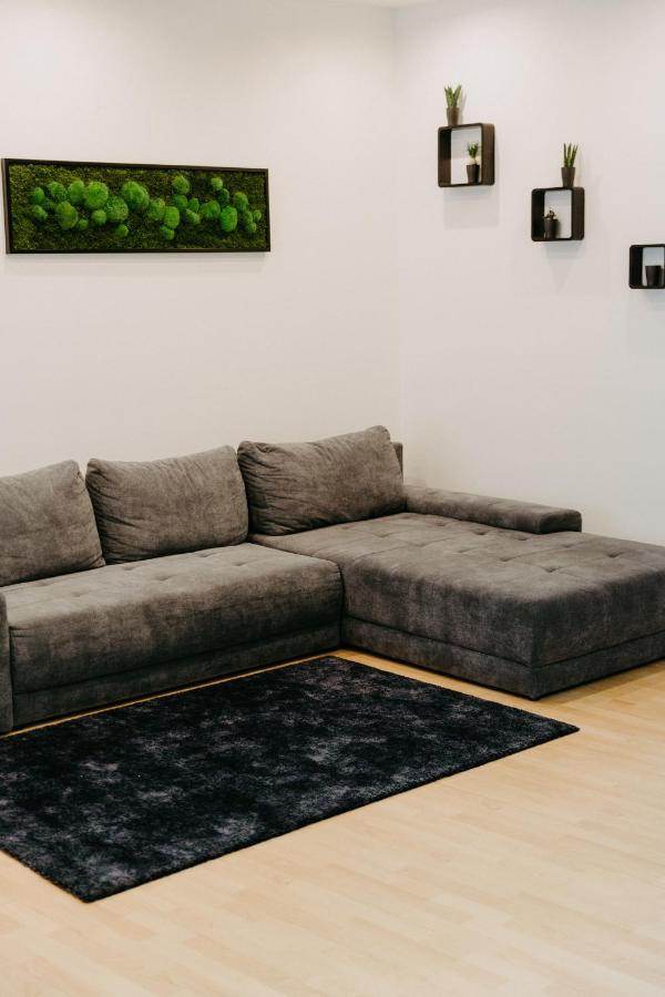 비엔나 Modernes, Stilvolles Eingerichtetes Loft 아파트 외부 사진